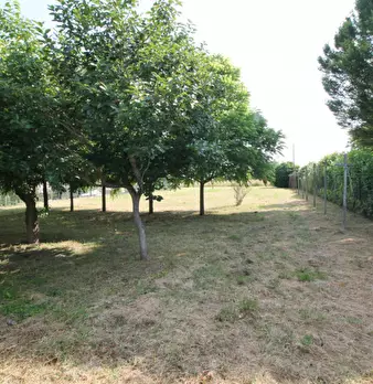Foto annuncio 6