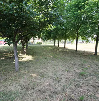 Foto annuncio 7