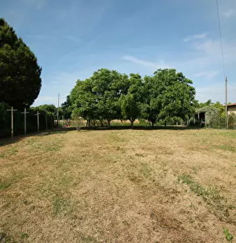 Foto annuncio 9