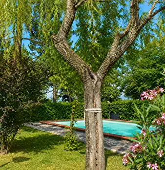 Foto annuncio 34