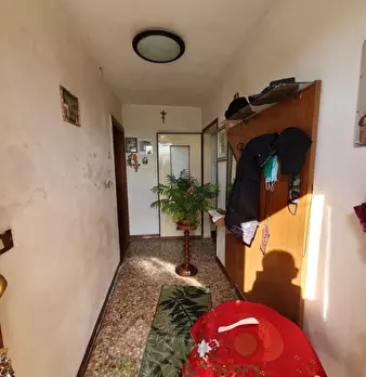 Foto annuncio 7