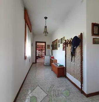 Foto annuncio 15