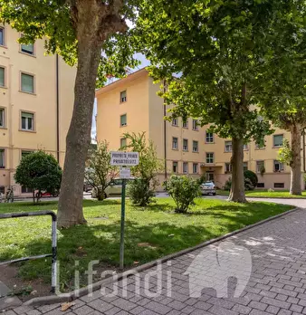 Foto annuncio 8