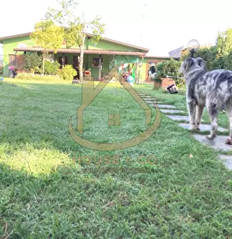 Foto annuncio 6