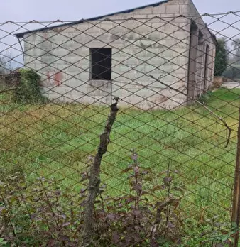 Foto annuncio 10