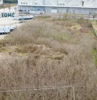 Foto annuncio 7