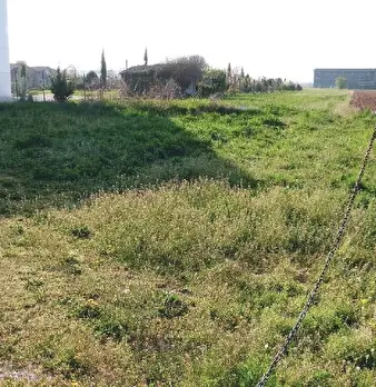 Foto annuncio 6