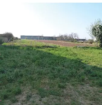 Foto annuncio 9