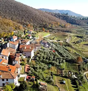 Foto annuncio 7
