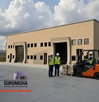 Foto annuncio 6