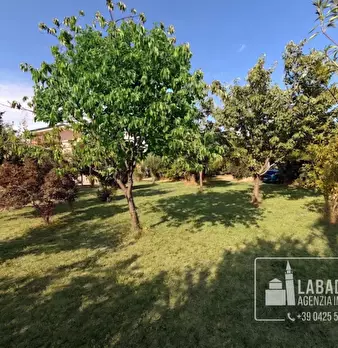 Foto annuncio 35