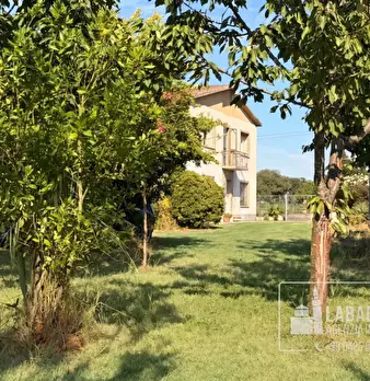 Foto annuncio 39