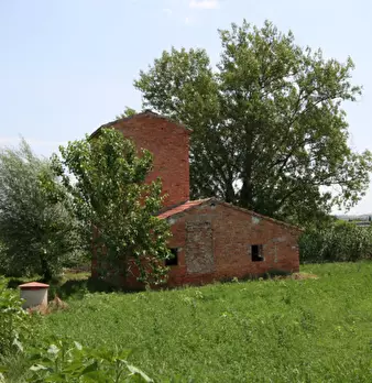 Foto annuncio 11