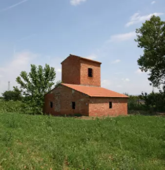 Foto annuncio 12