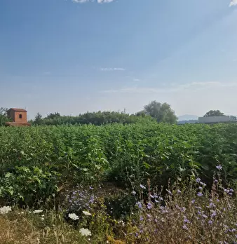 Foto annuncio 16