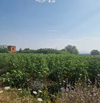 Foto annuncio 17