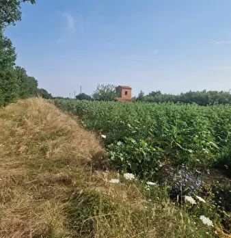 Foto annuncio 19