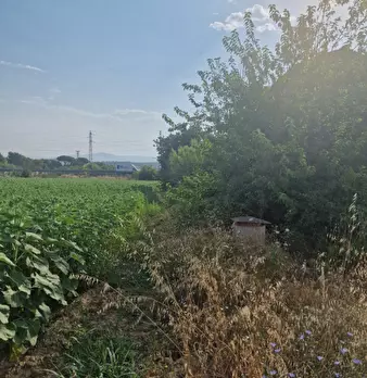 Foto annuncio 20