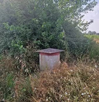 Foto annuncio 21