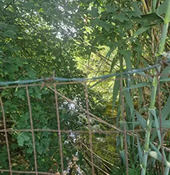 Foto annuncio 22