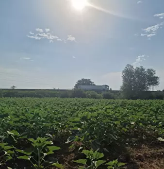 Foto annuncio 24