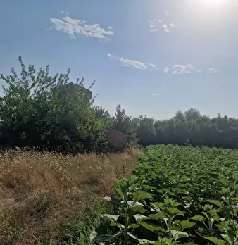 Foto annuncio 28