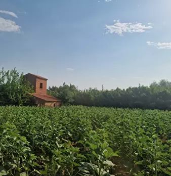 Foto annuncio 29