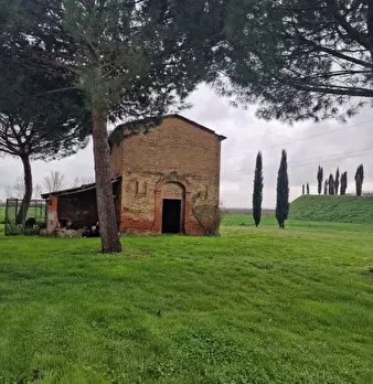 Foto annuncio 11