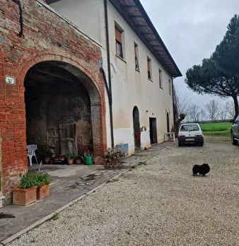Foto annuncio 13