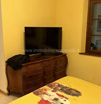 Foto annuncio 8