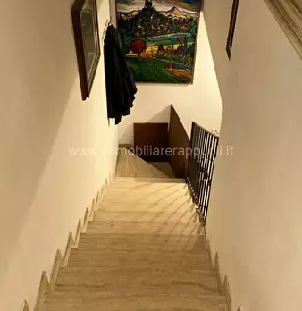 Foto annuncio 19
