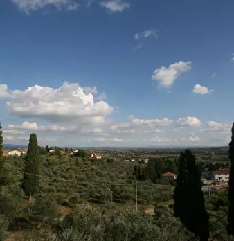 Foto annuncio 7