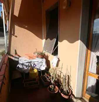 Foto annuncio 14