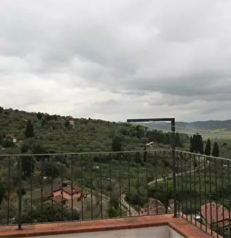 Foto annuncio 21