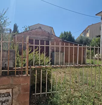 Foto annuncio 5