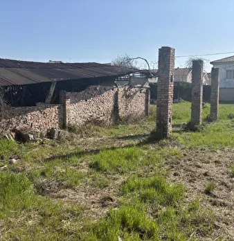Foto annuncio 9