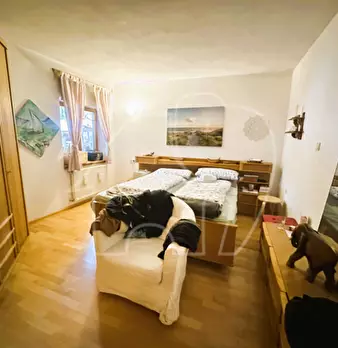 Foto annuncio 8