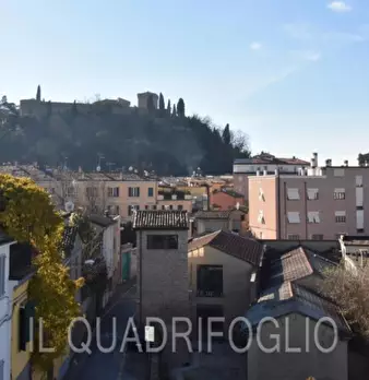 Foto annuncio 12