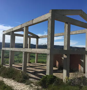Foto annuncio 19