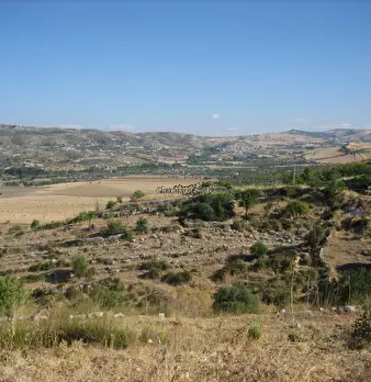 Foto annuncio 23