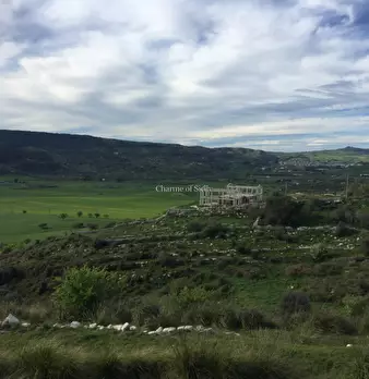 Foto annuncio 26
