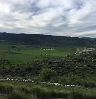 Foto annuncio 27