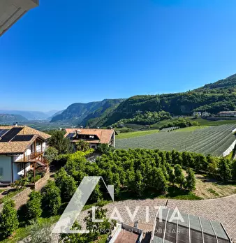 Foto annuncio 18