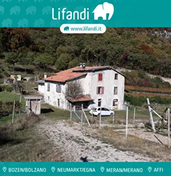 Foto annuncio 1