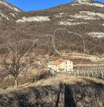 Foto annuncio 6