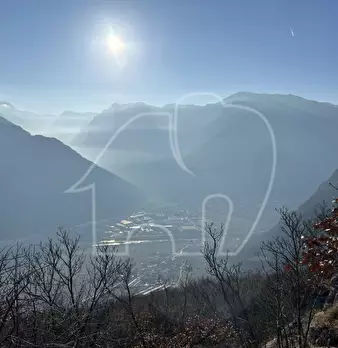 Foto annuncio 8