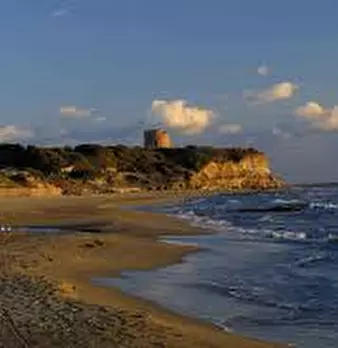 Foto annuncio 10