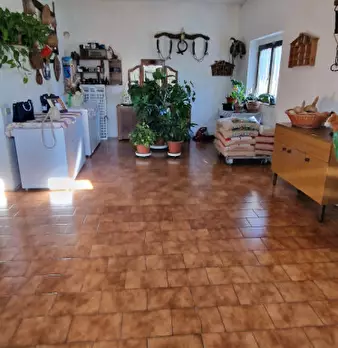 Foto annuncio 7
