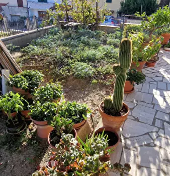Foto annuncio 35