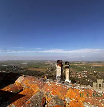 Foto annuncio 15